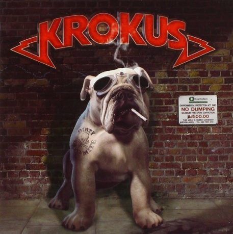 Krokus.jpg
